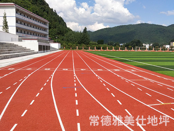 銅仁中學(xué)塑膠跑道、草坪
